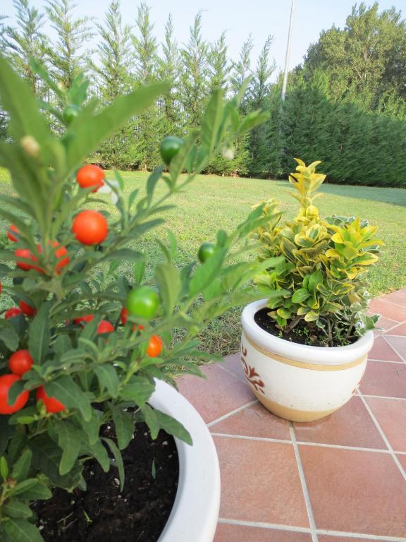 פררה Ladino Room & Breakfast מראה חיצוני תמונה